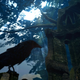 Image for article titled Prepare to Die Again, and Again, and Again in Dark Souls
